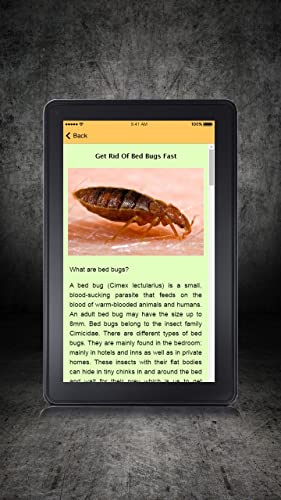 Rid Of Bed Bugs