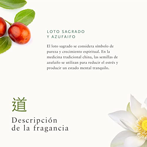 RITUALS Cesta Regalo para Mujeres del Ritual of Jing, Tamaño Grande - Con Loto Sagrado, Azufaifa y Menta China - Propiedades Relajantes y Calmantes