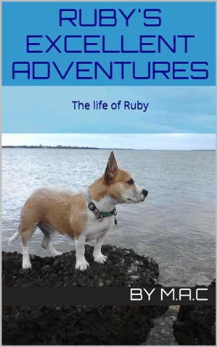 Ruby's Excellent Adventures (Rubys' Excellent Adventures Book 1) (English Edition)