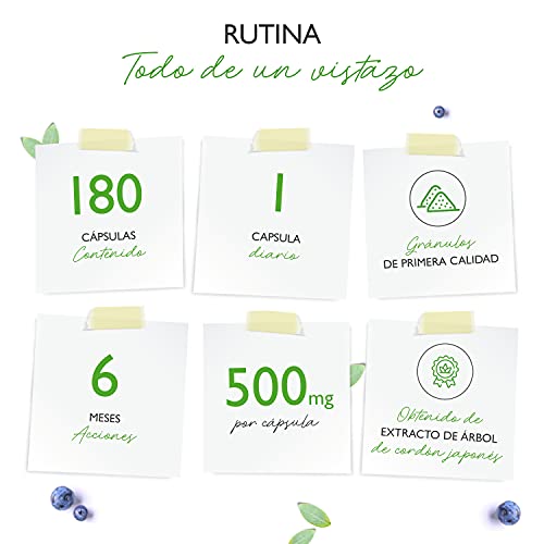 Rutina 500 mg - 180 cápsulas (suministro para 6 meses) - Premium: 95% de rutina genuina de extracto natural de Sophora japonica - Altamente dosificado - Sin aditivos