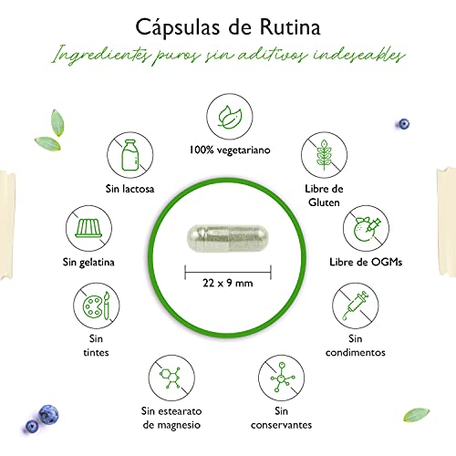 Rutina 500 mg - 180 cápsulas (suministro para 6 meses) - Premium: 95% de rutina genuina de extracto natural de Sophora japonica - Altamente dosificado - Sin aditivos