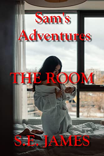 Sam's Adventures - The Room (English Edition)