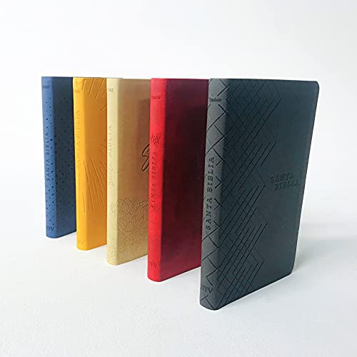 Santa Biblia NTV, Edición ágape (SentiPiel, Gris),