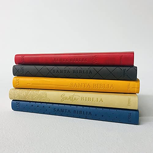 Santa Biblia NTV, Edición ágape (SentiPiel, Gris),