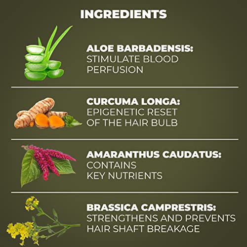 Scandinavian Biolabs | Acondicionador de recuperación de cabello para mujer | Tratamiento natural para el crecimiento del cabello | Protege los mechones capilares, recupera los tallos