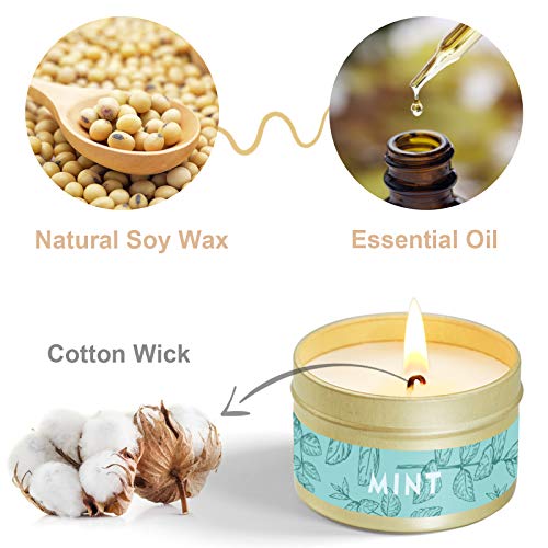 SCENTORINI 6 Velas Perfumadas con Aceite Essencial Aromaterapia 100% Cera de Soja Set de Regalo, Cítricas, Lavanda, Limonero, Rosmarino Menta y Eucalipto, Duración Total 102h