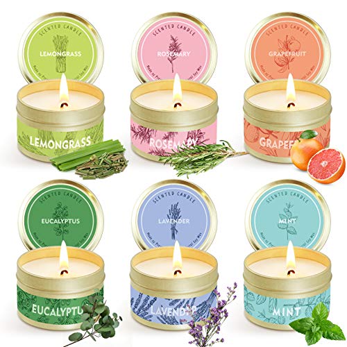 SCENTORINI 6 Velas Perfumadas con Aceite Essencial Aromaterapia 100% Cera de Soja Set de Regalo, Cítricas, Lavanda, Limonero, Rosmarino Menta y Eucalipto, Duración Total 102h