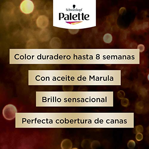 Schwarzkopf Palette Intensive Creme Color – Tono 8.2 cabello Rubio Beige - Coloración Permanente de Cuidado con Aceite de Marula – Óptima cobertura de canas – Color duradero hasta 8 semanas