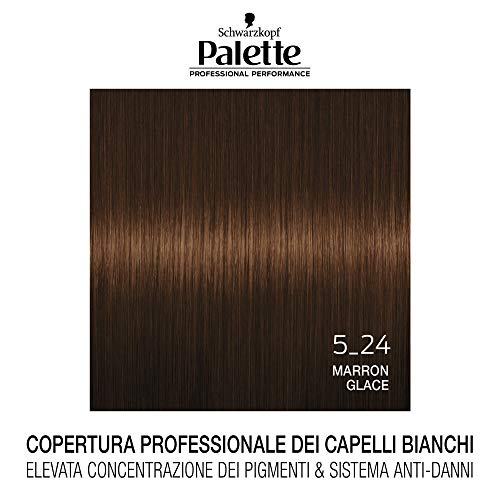 Schwarzkopf Tinta per Capelli Palette Professional Performance, Colorazione Permanente, Tonalità 5-24 Marron Glace