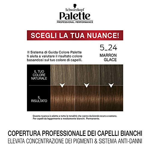 Schwarzkopf Tinta per Capelli Palette Professional Performance, Colorazione Permanente, Tonalità 5-24 Marron Glace