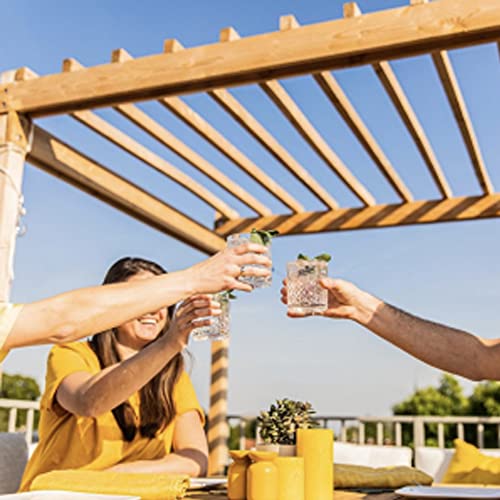 Schweppes Tónica Zero, Sin Azúcar ni Calorías - Botella PET 1L