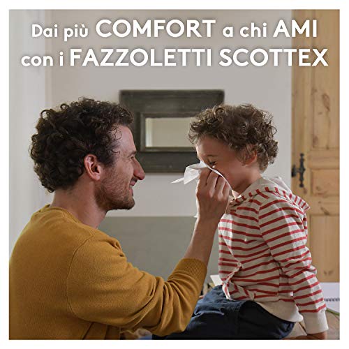 Scottex - Pañuelos todos los días, 10 paquetes de 8 paquetes - 1880 g