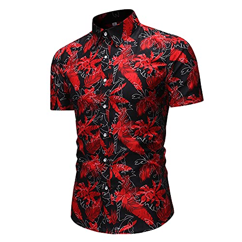 Shirts Shorts Hombres Transpirable Slim Fit Estampado Personalidad Hombres Conjunto Botones Vintage Tapeta con Cordones Hombres Manga Corta Sport Kent Collar Hombres Conjunto Playa B-B014 3XL
