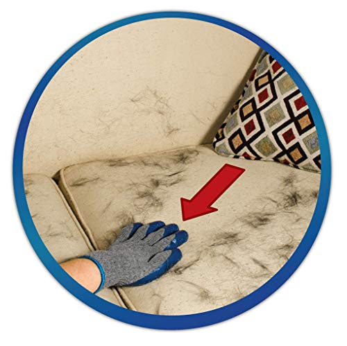 Simple Solution Pelo de Las Mascotas Sistema de Limpieza Pelo Elevador Guantes