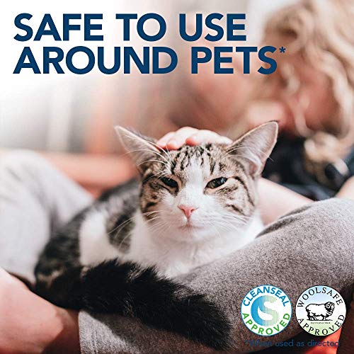 Simple Solution removedor de manchas y olores para gatos | Limpiador enzimático con potencia de limpieza pro-bacterias - 1 litro