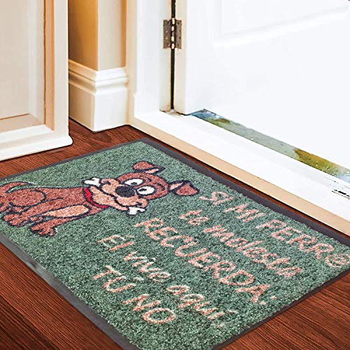 SML Felpudo de Entrada Casa, 60x40 cm |Alfombra Exterior para Puerta, Impermeable, Lavable para Atrapar Suciedad para Recibidor|Alfombrilla Antideslizante,Originales y Divertidos
