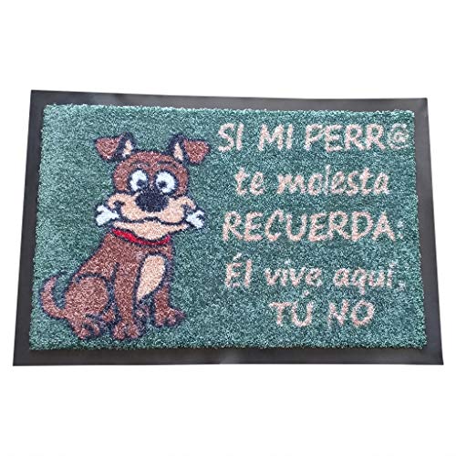 SML Felpudo de Entrada Casa, 60x40 cm |Alfombra Exterior para Puerta, Impermeable, Lavable para Atrapar Suciedad para Recibidor|Alfombrilla Antideslizante,Originales y Divertidos