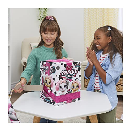 Spin Master- Present Pets - Fancy Pup (6051197)