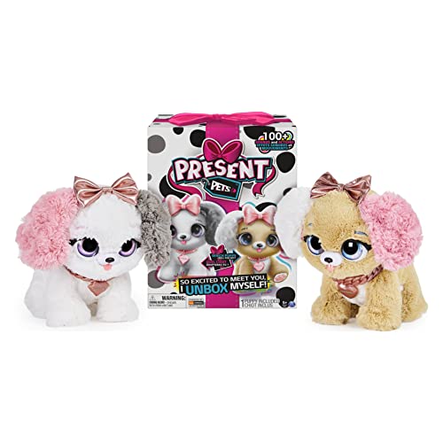 Spin Master- Present Pets - Fancy Pup (6051197)