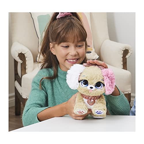 Spin Master- Present Pets - Fancy Pup (6051197)