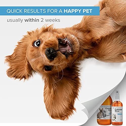 Spray de Plata Coloidal 100% Natural para Animales (Perros, Gatos) Versátil ● Cicatrizante ● Desinfectante y Antibiotico ● Picazón de perro (dermatitis, ácaros, alergia) ● Para Piel, Ojos, Oídos.