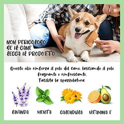 Spray para el Pelo de Perros 3 en 1: Desodorante, Desenredante y Hidratante Natural Made in Italy, Fragancia de Lavanda y Menta, enriquecido con Vitamina E, Caléndula, Pantenol, Biotina - Dulàc