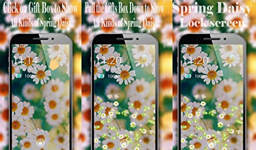 Spring Daisy - Lock Screen