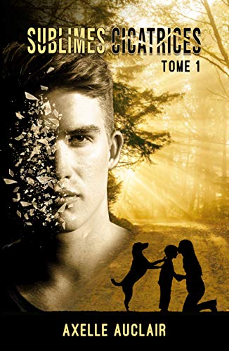 Sublimes Cicatrices - Tome 1 (French Edition)