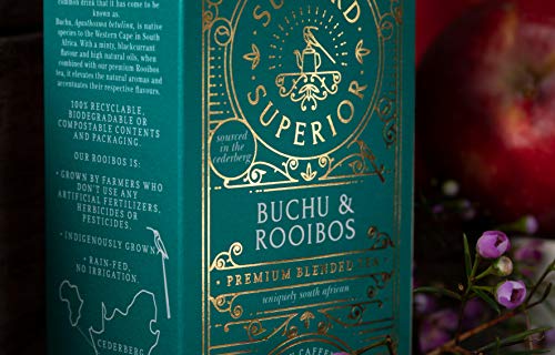 Sunbird Rooibos Buchu Rooibos | Té Rojo con Buchu | 20 bolsas de composta | Rare Premium Rooibos | 100% Ecorresponsable |