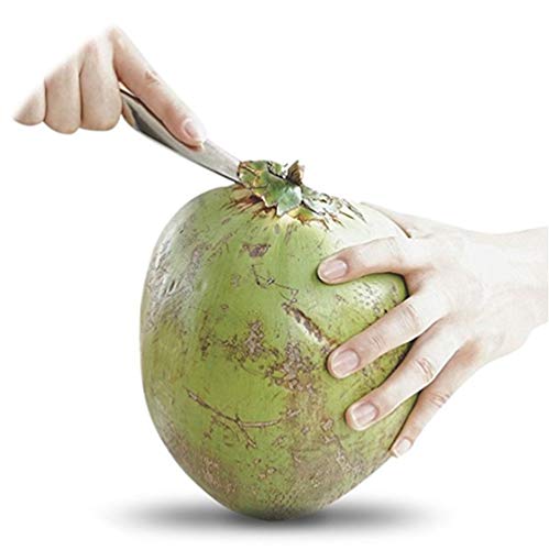 SyeRum Cuchilla de coco, abridor de coco, de acero inoxidable con mango de madera resistente para herramientas abiertas de agua de coco verde fresca.