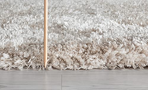 the carpet Willow - Alfombra de Pelo Largo para salón, Dormitorio, Moderna, Suave, Mate, Color Beige, 160 x 230 cm