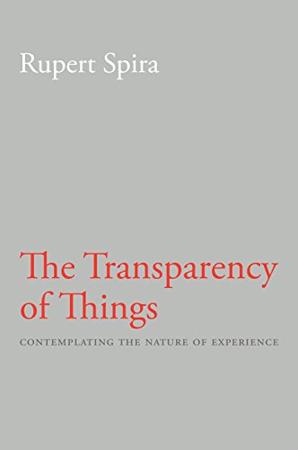 The Transparency of Things: Contemplating the Nature of Experience (English Edition)