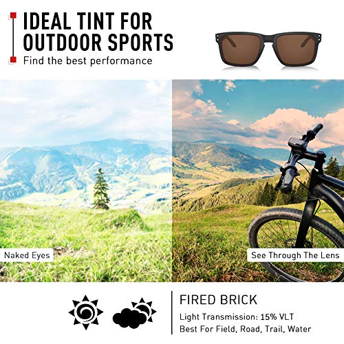 ThunderClap Lentes de repuesto polarizadas para gafas de sol Arnette La Pistola AN4179, Ladrillo de fuego - Polarizado, Talla única