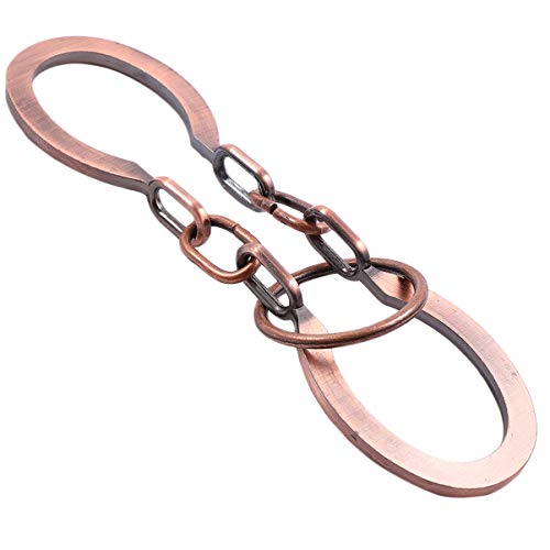 Toyvian Rompecabezas de Alambre de Metal Teaser: Bronce Iq Prueba Desactivador de Hierro Enlace Desbloqueo Enclavamiento Juego Chino Anillo Truco Juguete para Fiesta Favor Niños Adultos