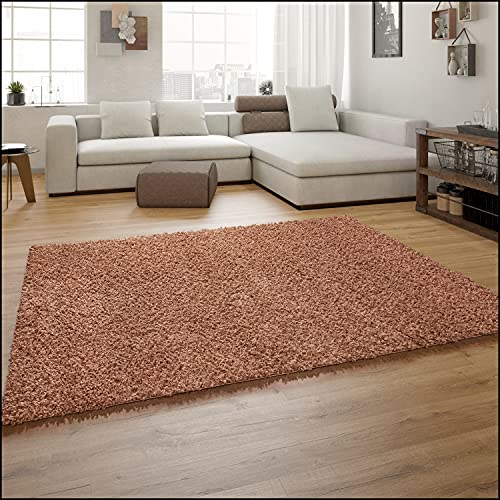 TT Home Alfombra Salón Pelo Largo Shaggy Suave Colores Lisos Moderna Diseño Monocolor, Color:Terracota, Tamaño:160x220 cm