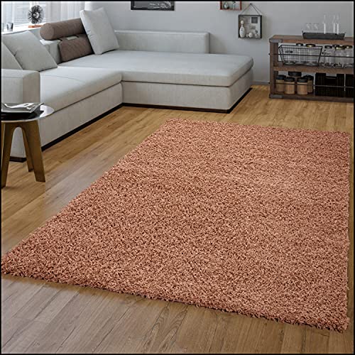 TT Home Alfombra Salón Pelo Largo Shaggy Suave Colores Lisos Moderna Diseño Monocolor, Color:Terracota, Tamaño:160x220 cm