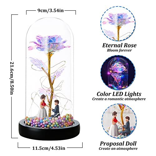 TWBEST Rosa Eterna,Kit de Rosa Bella y Bestia,Elegante Cúpula Rosa de Cristal con Base Pino Luces LED,Románticos Rosa Regalos para San Valentin, Día de Navidad,Día de la Cumpleaños Mujer,Madre,Novia