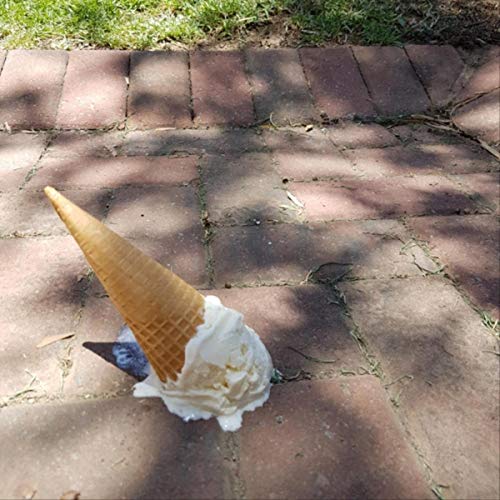 Vanilla Ice Cream