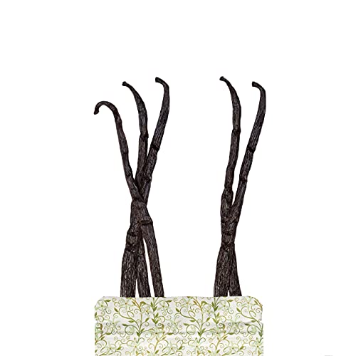 VANILLIA • 6 Vainas de Vainilla Bourbon de Madagascar • Talla L (14-16cm) • GRAND CRU "LA SAMBAVA" • Lo mejor de la cosecha • Bolsa ZIP resellable y eco-responsable