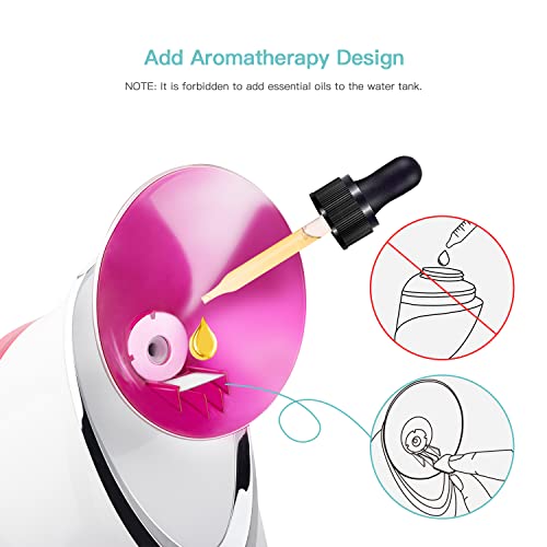 Vaporizador Facial - Spray SPA Facial de Nano Iónico Hogareño, Destapar Poros, Humidificador Atomizador de Niebla Caliente, Hidratación de Rostro con Kit de la Piel de Acero Inoxidable