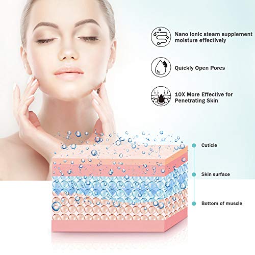 Vaporizador Facial - Spray SPA Facial de Nano Iónico Hogareño, Destapar Poros, Humidificador Atomizador de Niebla Caliente, Hidratación de Rostro con Kit de la Piel de Acero Inoxidable