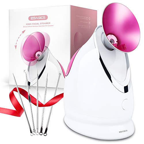 Vaporizador Facial - Spray SPA Facial de Nano Iónico Hogareño, Destapar Poros, Humidificador Atomizador de Niebla Caliente, Hidratación de Rostro con Kit de la Piel de Acero Inoxidable
