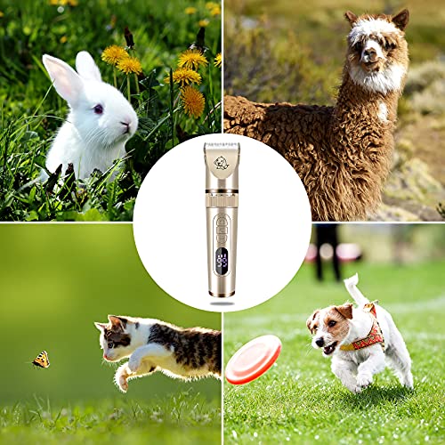 VCKHRRY Cortapelos para Mascotas IPX7 Impermeable Todo el Cuerpo Lavable Carga Inalámbrica de 3 Velocidades para Perros y Gatos Cortadora de Pelo para Mascotas de Bajo Ruido 7 Peines Guía