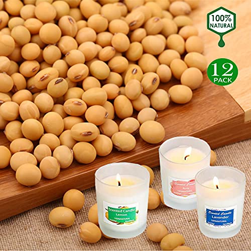 Velas de Citronela Antimosquitos, 12 Piezas Velas Aromaticas Perfumadas de Cera de Soja Grande Exterior Interior para Jardín, Camping, Viajes, Balcón, Terraza