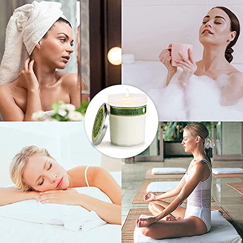 Velas Perfumadas, 100% Cera de Soja, Juego de Regalo, Relajación, Alivio del Estrés, Fragancia para el Hogar, Refresco de Aire, 2 Paquetes, Cada uno de 8 Onzas