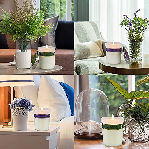 Velas Perfumadas, 100% Cera de Soja, Juego de Regalo, Relajación, Alivio del Estrés, Fragancia para el Hogar, Refresco de Aire, 2 Paquetes, Cada uno de 8 Onzas