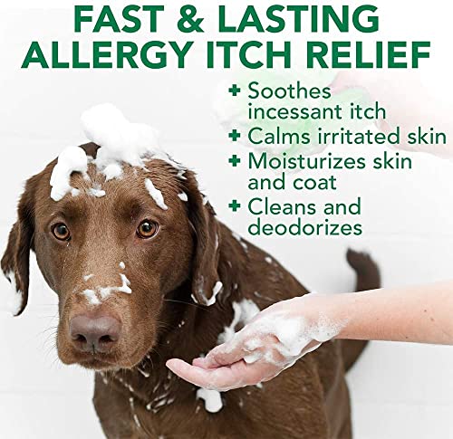 Vet's Best Champú para Perros de Alivio de la Picazón de Alergia | Limpia y Alivia el malestar causado por Las alergias estacionales, 470ml