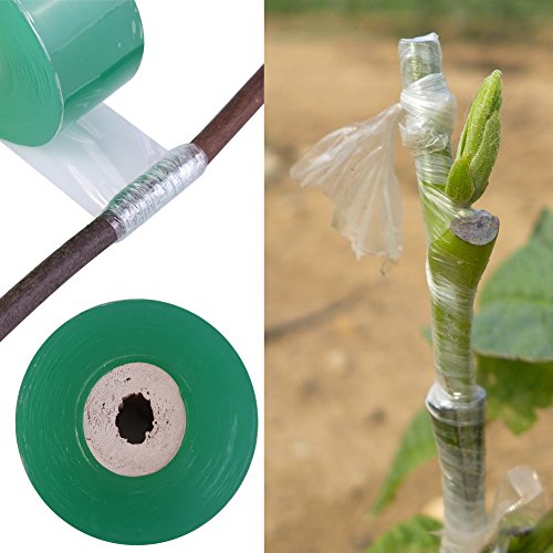 ViaGasaFamido 100m / 328ft Cinta de Cultivo Injerto Planta Jardineria Barrera Antihumedad Estirada Clara Floristería Película Bio-degradable Autoadhesivo Plántula Cinta De Injerto De Vivero