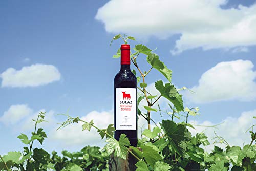 Vino Tinto D.O. Tierra De Castilla Solaz tinto variedad uva Tempranillo y Cabernet Sauvignon 75 cl