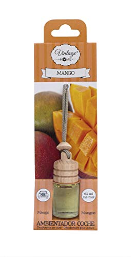 VINTAGE PARFUM. Pack de ambientación para Coche y hogar. con Fragancia a Mango y Canela-Naranja (Mikado, Pulverizable para casa, Colgante Coche, Pulverizable Auto).